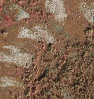 Aerial photo of one of the study areas